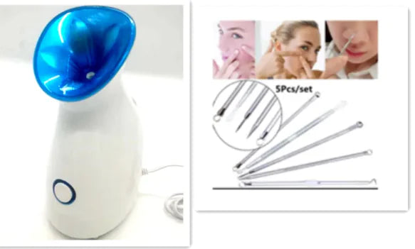 Tri-Active Nano Ionic Facial Steamer