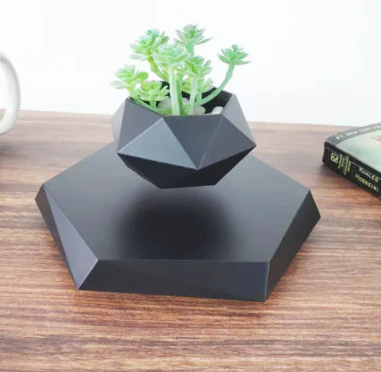 Levitating Plant Holder