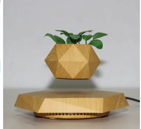 Levitating Plant Holder