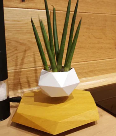 Levitating Plant Holder