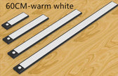 Motion-Sensing LED Light Rechargeable