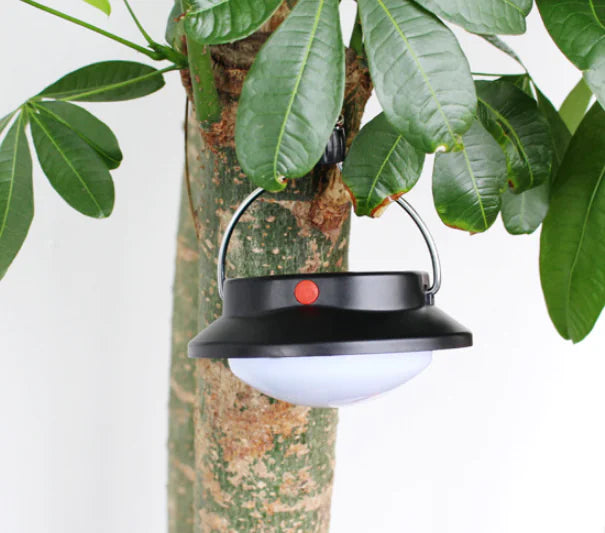 Solar-Powered LED Explorer's Lantern