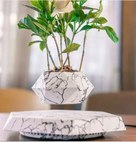 Levitating Plant Holder