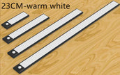 Motion-Sensing LED Light Rechargeable