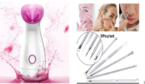 Tri-Active Nano Ionic Facial Steamer