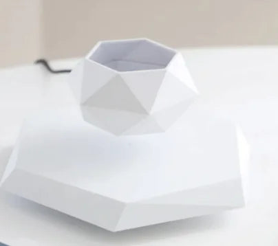 Levitating Plant Holder